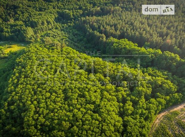Оренда ділянки під житлову забудову в Горбовичах, ціна: 29 962 544 грн за об’єкт фото 1 Оренда ділянки під житлову забудову в Горбовичах, ціна: 29 962 544 грн за об’єкт фото 1