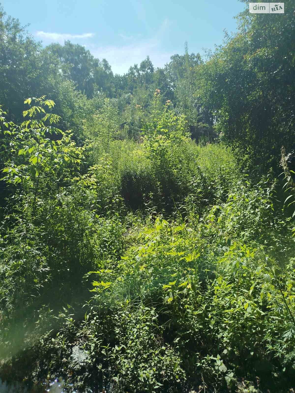 Аренда участка под жилую застройку в Киверцах, цена: 15 072 грн за объект фото 1