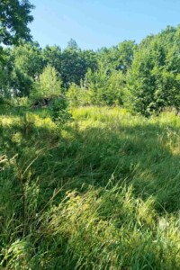 Аренда участка под жилую застройку в Киверцах, цена: 15 072 грн за объект фото 1