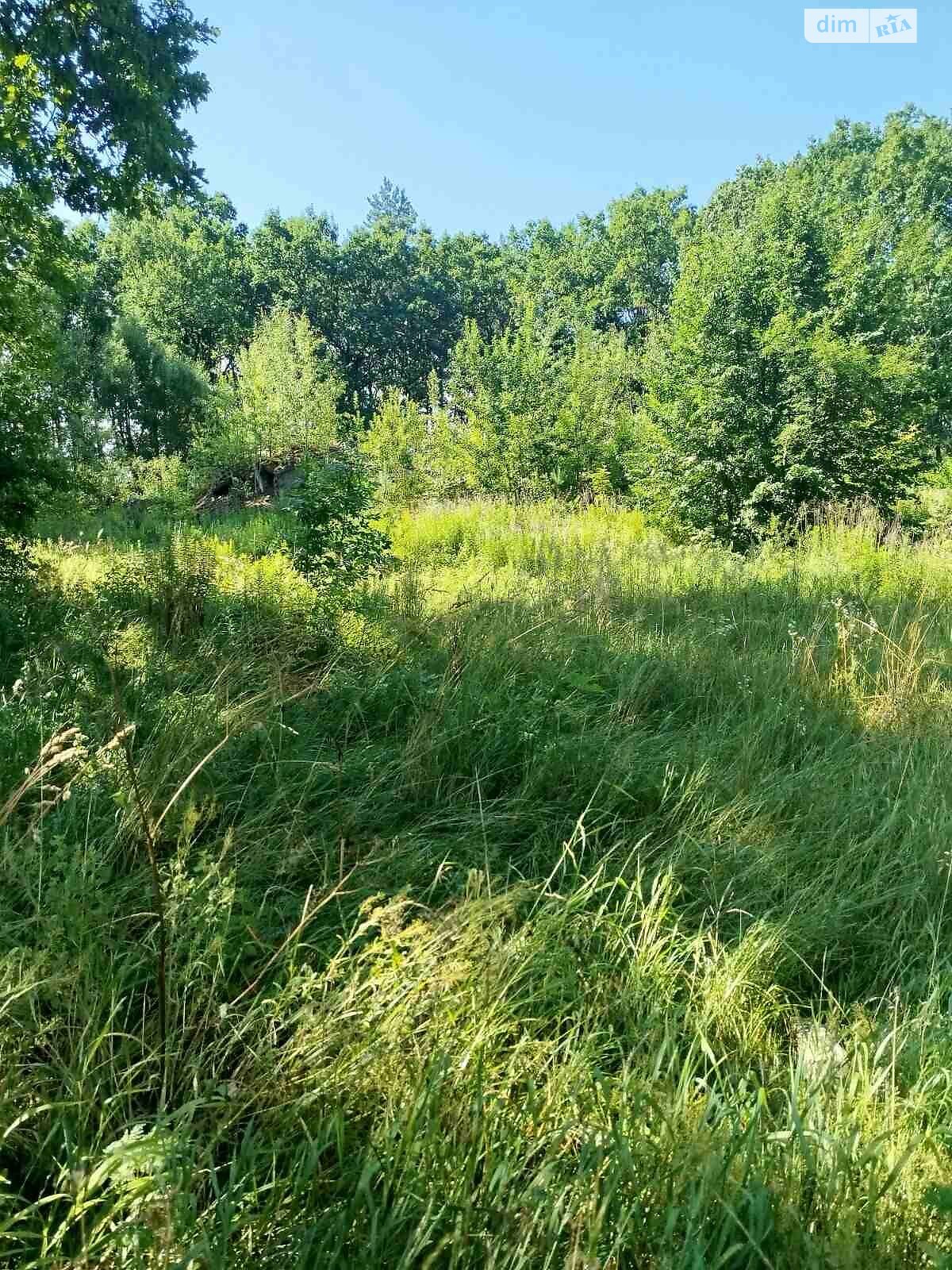 Аренда участка под жилую застройку в Киверцах, цена: 15 072 грн за объект фото 1