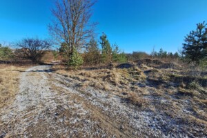 Оренда ділянки під житлову забудову в Кордишеві, ціна: 40 637 грн за об’єкт фото 2 Оренда ділянки під житлову забудову в Кордишеві, ціна: 40 637 грн за об’єкт фото 2