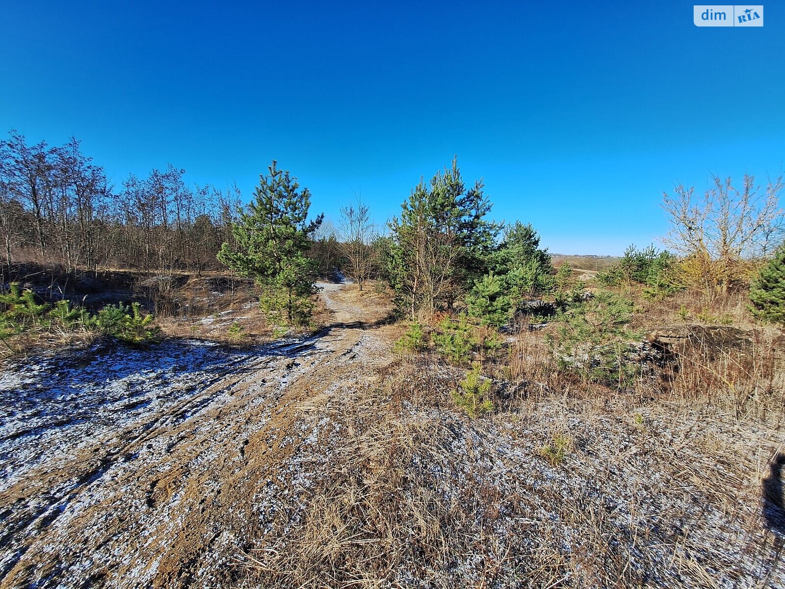 Оренда ділянки під житлову забудову в Кордишеві, ціна: 40 637 грн за об’єкт фото 1 Оренда ділянки під житлову забудову в Кордишеві, ціна: 40 637 грн за об’єкт фото 1