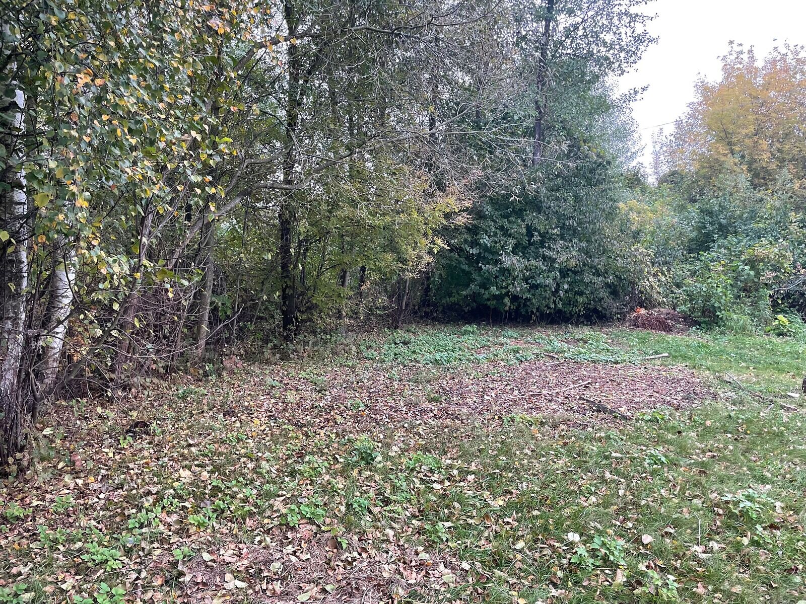 Оренда ділянки під житлову забудову в Шацьку, ціна: 145 956 грн за об’єкт фото 1 Оренда ділянки під житлову забудову в Шацьку, ціна: 145 956 грн за об’єкт фото 1