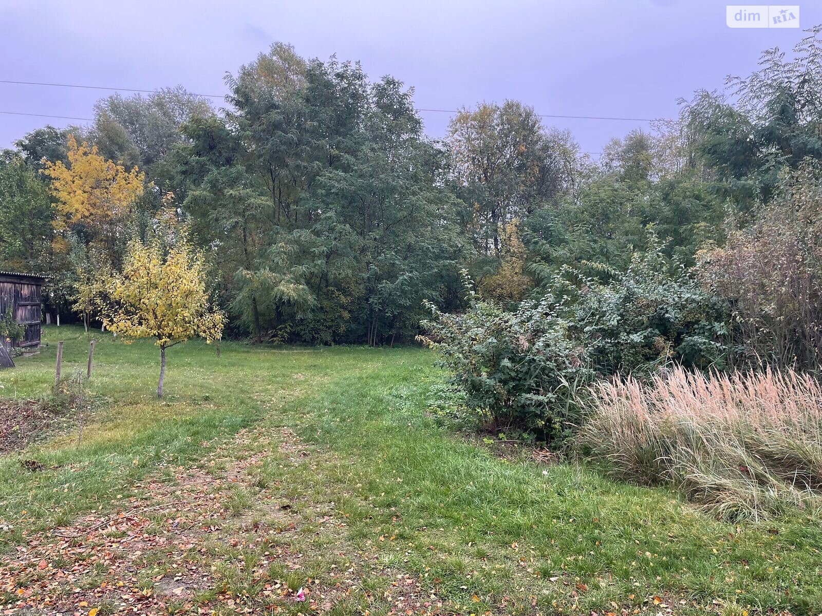 Оренда ділянки під житлову забудову в Шацьку, ціна: 145 956 грн за об’єкт фото 1 Оренда ділянки під житлову забудову в Шацьку, ціна: 145 956 грн за об’єкт фото 1