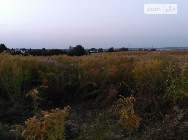 Аренда участка под жилую застройку в селе Тютьки, цена: договорная за объект фото 1 Аренда участка под жилую застройку в селе Тютьки, цена: договорная за объект фото 1