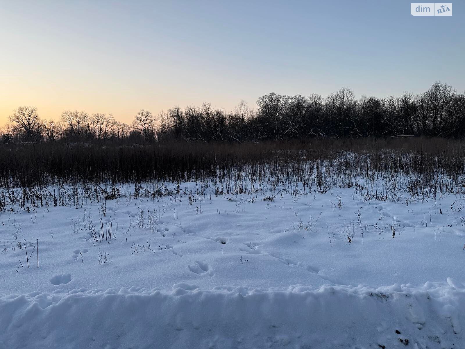 Аренда участка под жилую застройку в Йосиповке, цена: 6 627 грн за объект фото 1