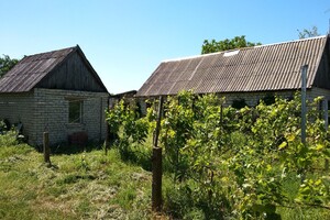 Аренда участка под жилую застройку в Ивангороде, цена: 750 грн за объект фото 2