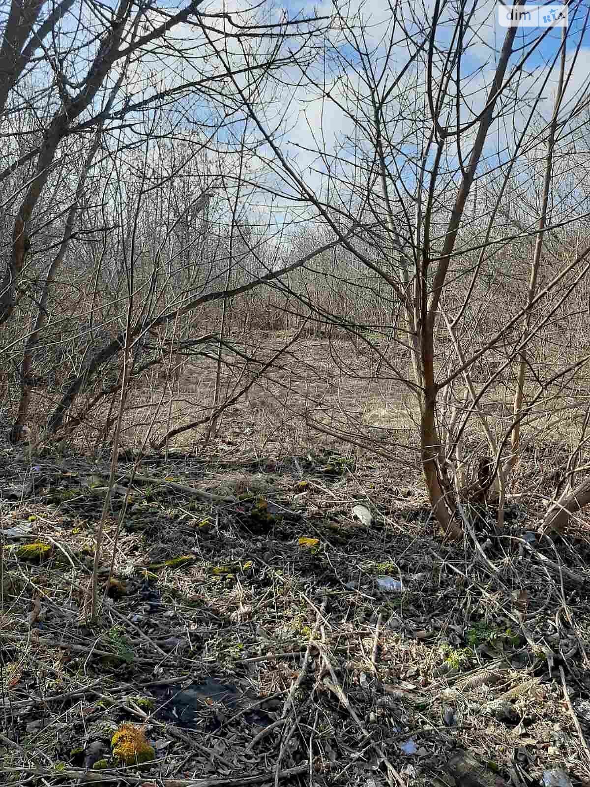 Оренда землі комерційного призначення в Олександрії, ціна: 109 556 грн за об’єкт фото 1 Оренда землі комерційного призначення в Олександрії, ціна: 109 556 грн за об’єкт фото 1