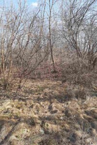 Оренда землі комерційного призначення в Олександрії, ціна: 109 556 грн за об’єкт фото 2 Оренда землі комерційного призначення в Олександрії, ціна: 109 556 грн за об’єкт фото 2