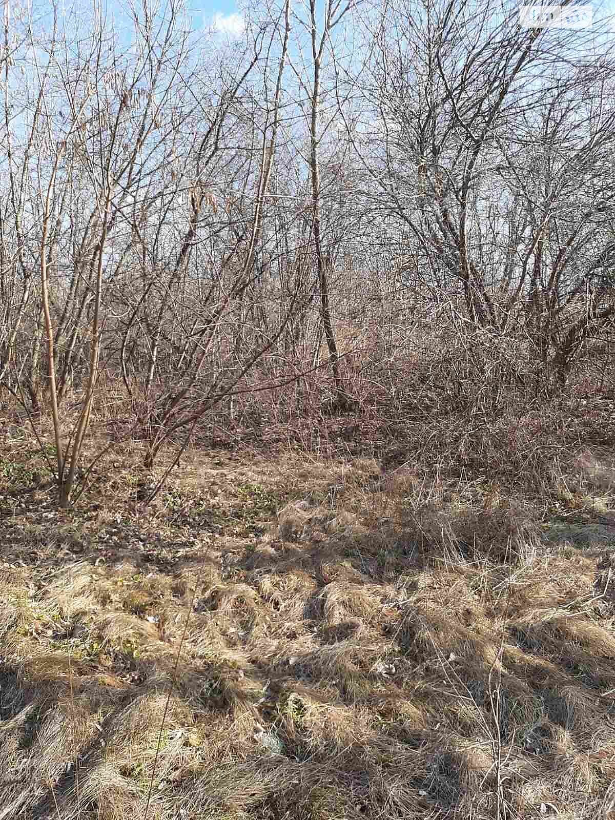 Оренда землі комерційного призначення в Олександрії, ціна: 109 556 грн за об’єкт фото 1 Оренда землі комерційного призначення в Олександрії, ціна: 109 556 грн за об’єкт фото 1