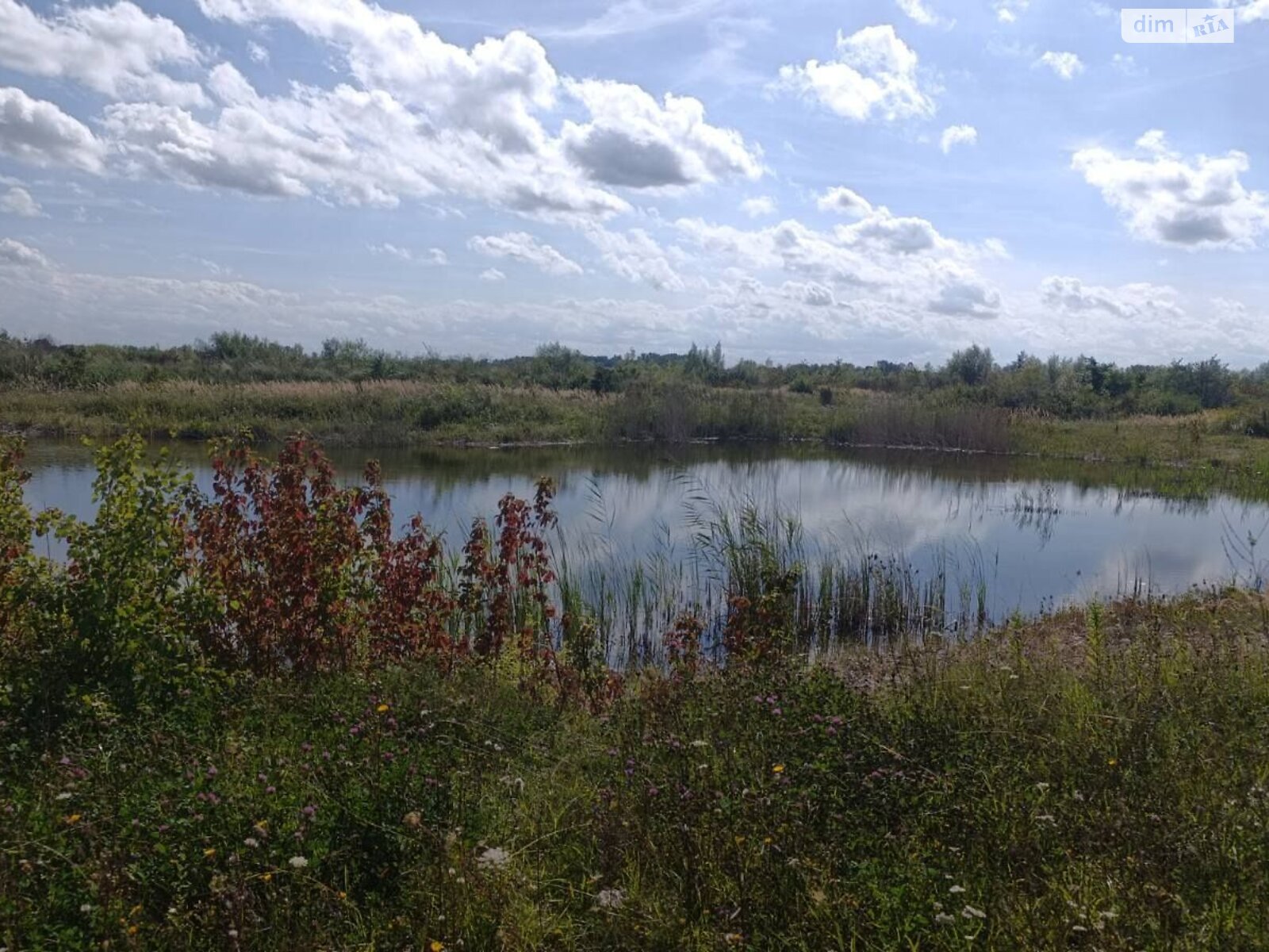 Оренда землі комерційного призначення в Артищеві, ціна: 2 543 грн за об’єкт фото 1 Оренда землі комерційного призначення в Артищеві, ціна: 2 543 грн за об’єкт фото 1