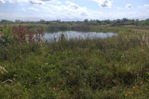 Оренда землі комерційного призначення в Артищеві, ціна: 2 543 грн за об’єкт фото 2