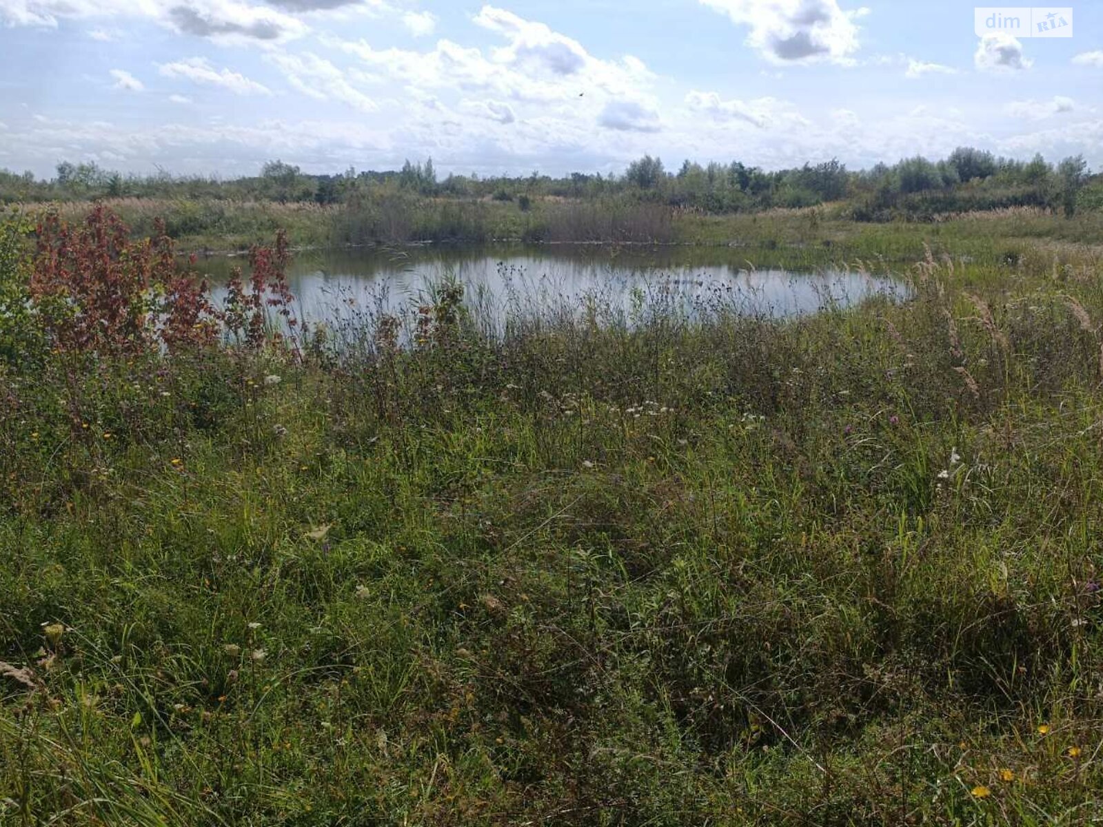 Оренда землі комерційного призначення в Артищеві, ціна: 2 543 грн за об’єкт фото 1 Оренда землі комерційного призначення в Артищеві, ціна: 2 543 грн за об’єкт фото 1