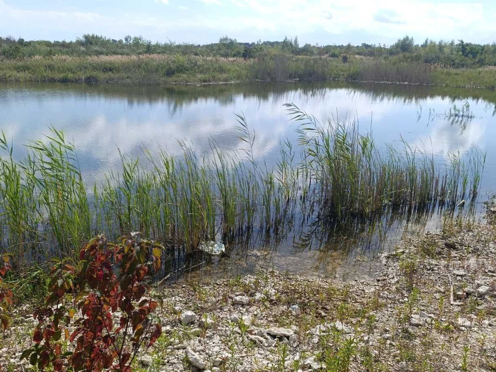 Оренда землі комерційного призначення в Артищеві, ціна: 2 543 грн за об’єкт фото 1 Оренда землі комерційного призначення в Артищеві, ціна: 2 543 грн за об’єкт фото 1