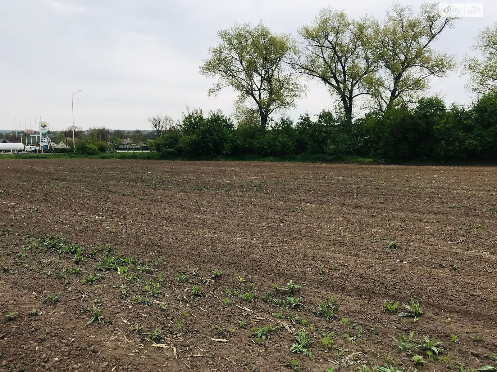 Оренда землі комерційного призначення в Атаки, ціна: 275 202 грн за об’єкт фото 1