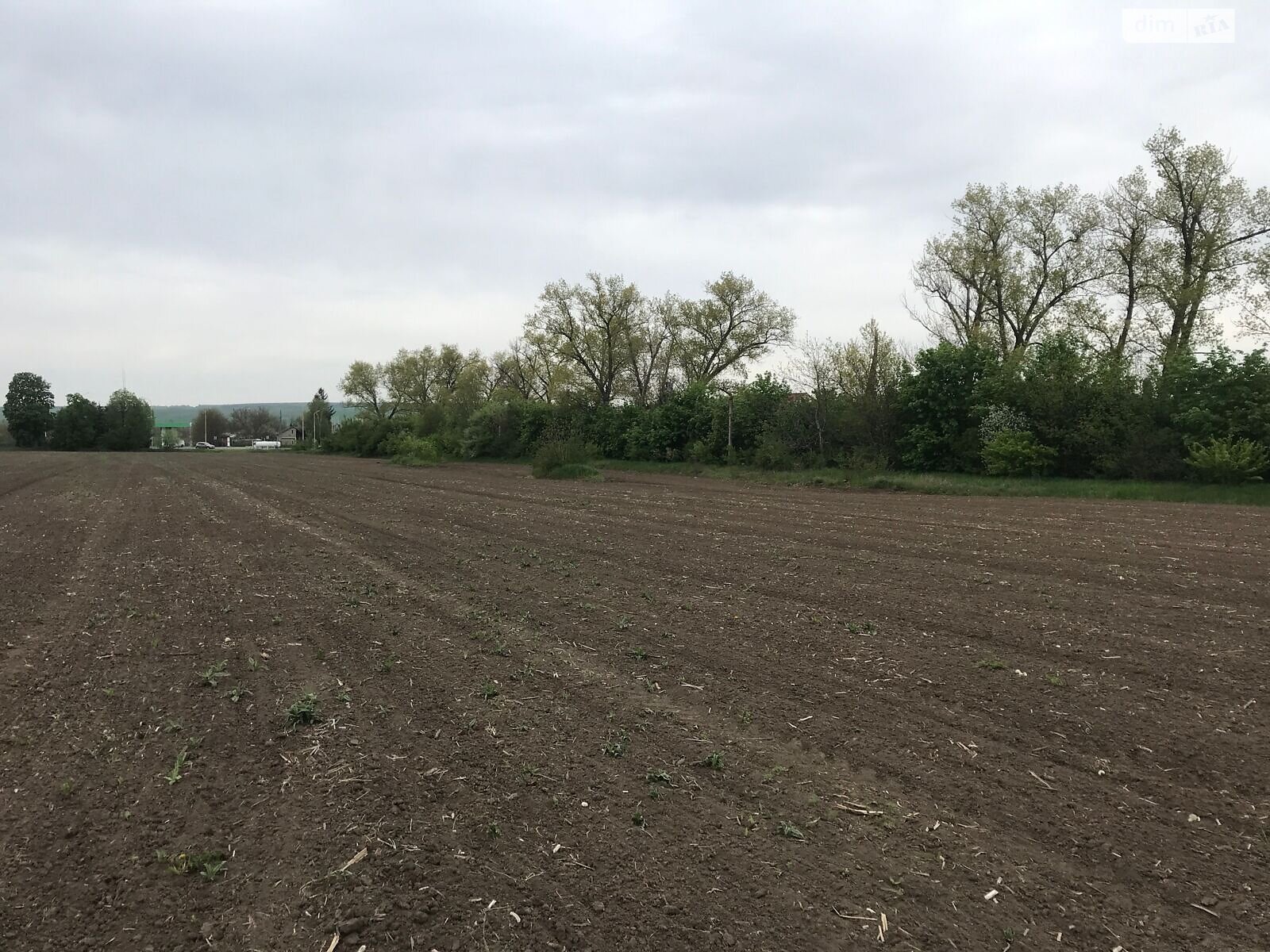 Оренда землі комерційного призначення в Атаки, ціна: 275 202 грн за об’єкт фото 1