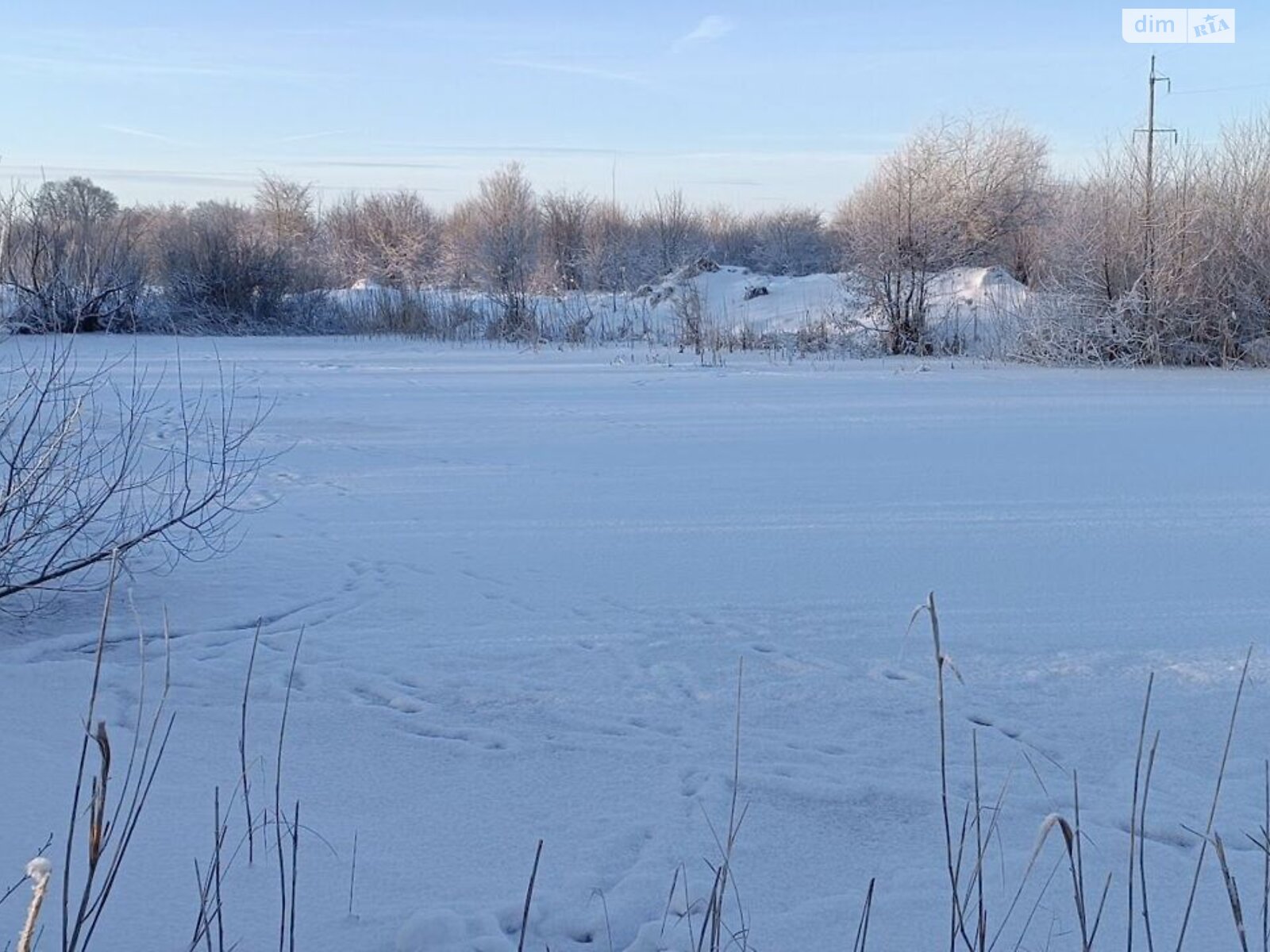 Аренда земли коммерческого назначения в Бабиной, цена: 20 401 грн за объект фото 1 Аренда земли коммерческого назначения в Бабиной, цена: 20 401 грн за объект фото 1
