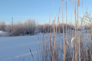 Аренда земли коммерческого назначения в Бабиной, цена: 20 401 грн за объект фото 2 Аренда земли коммерческого назначения в Бабиной, цена: 20 401 грн за объект фото 2