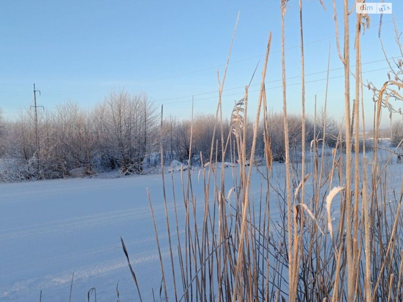 Аренда земли коммерческого назначения в Бабиной, цена: 20 401 грн за объект фото 1 Аренда земли коммерческого назначения в Бабиной, цена: 20 401 грн за объект фото 1