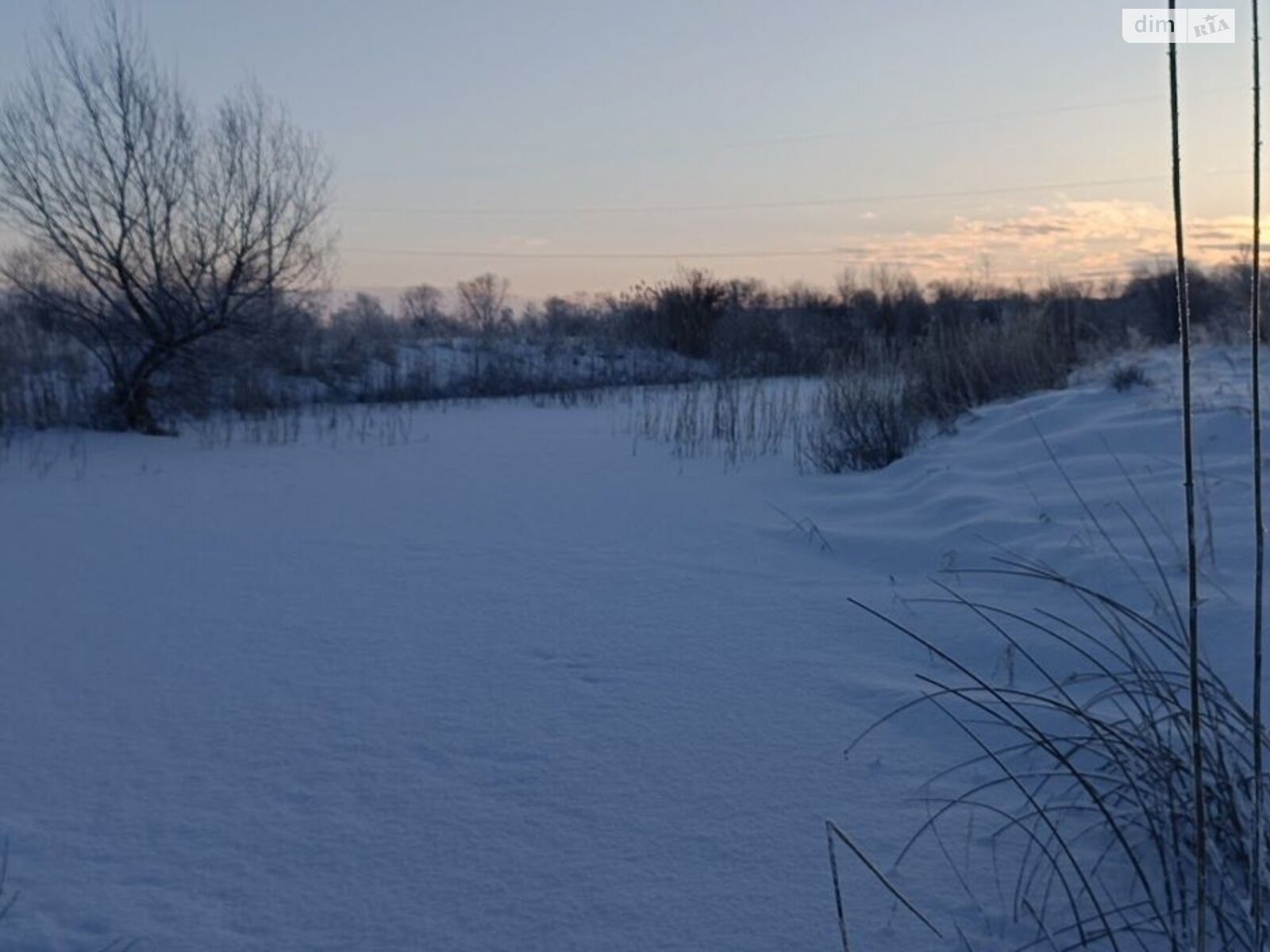 Аренда земли коммерческого назначения в Бабиной, цена: 20 401 грн за объект фото 1 Аренда земли коммерческого назначения в Бабиной, цена: 20 401 грн за объект фото 1