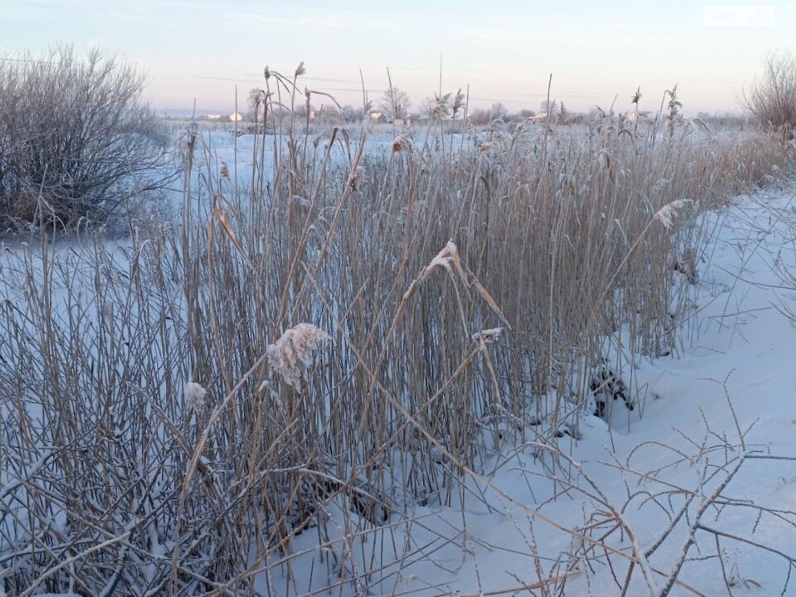 Аренда земли коммерческого назначения в Бабиной, цена: 20 401 грн за объект фото 1 Аренда земли коммерческого назначения в Бабиной, цена: 20 401 грн за объект фото 1