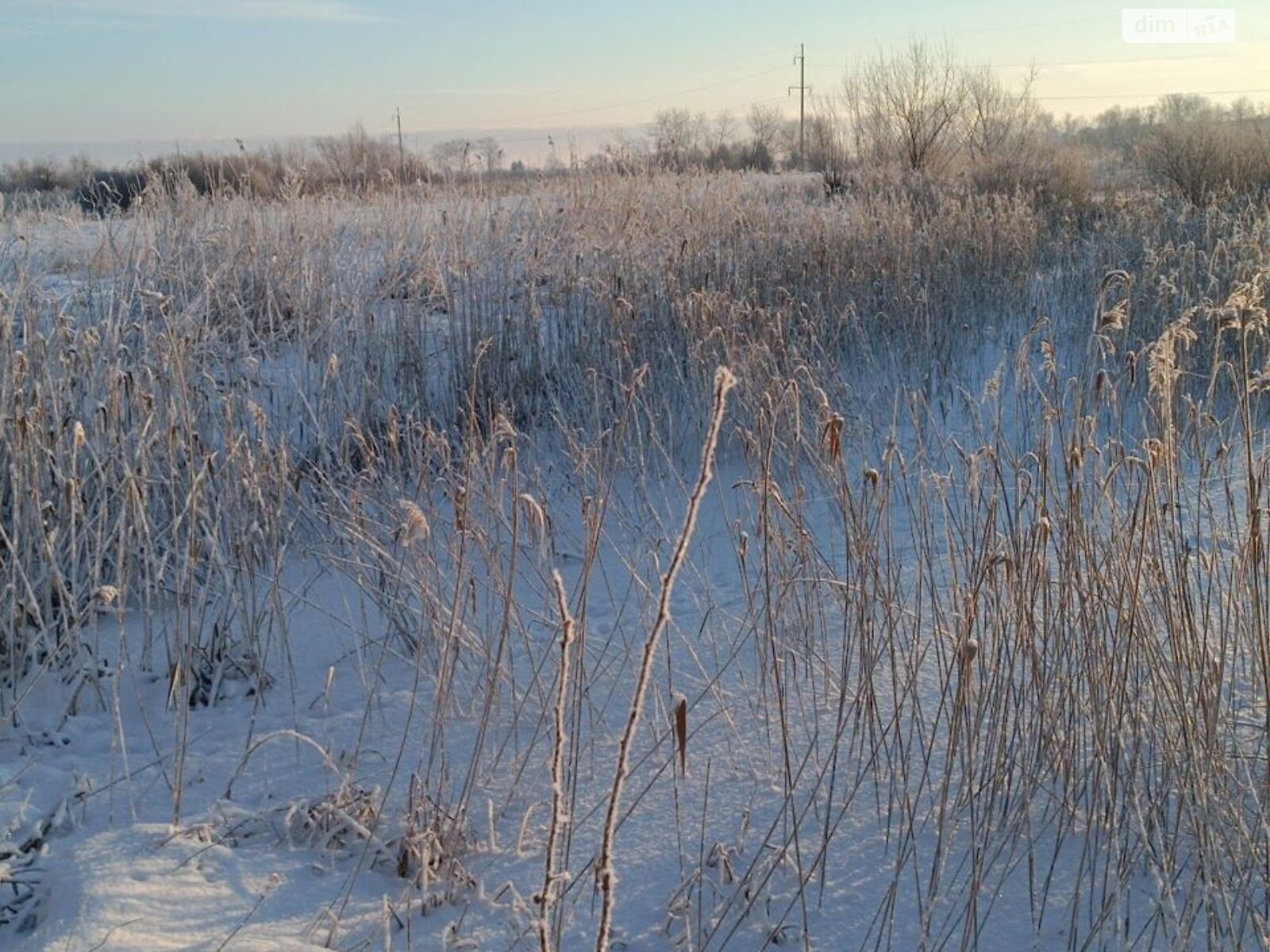 Аренда земли коммерческого назначения в Бабиной, цена: 20 401 грн за объект фото 1 Аренда земли коммерческого назначения в Бабиной, цена: 20 401 грн за объект фото 1