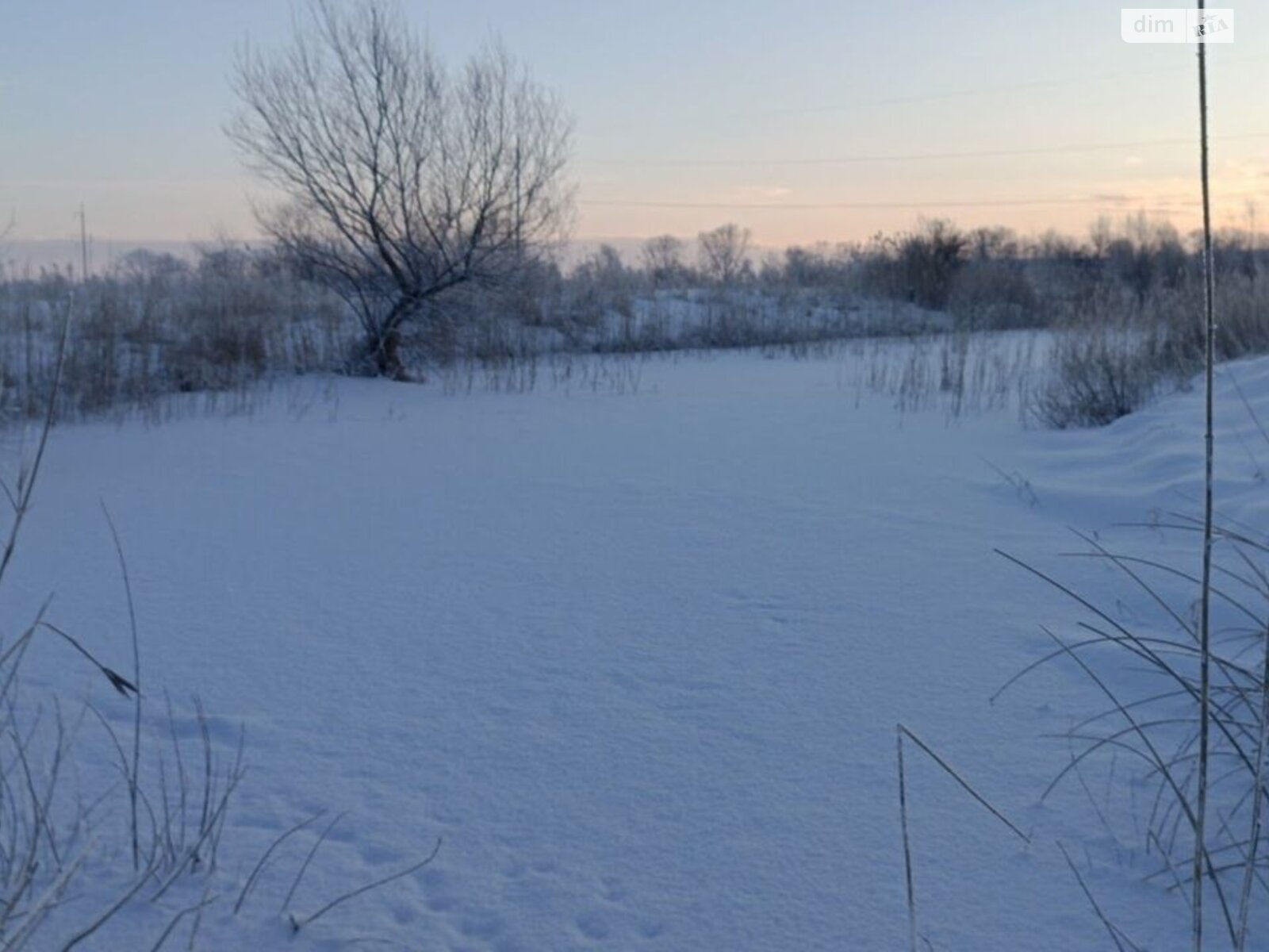 Аренда земли коммерческого назначения в Бабиной, цена: 20 401 грн за объект фото 1 Аренда земли коммерческого назначения в Бабиной, цена: 20 401 грн за объект фото 1