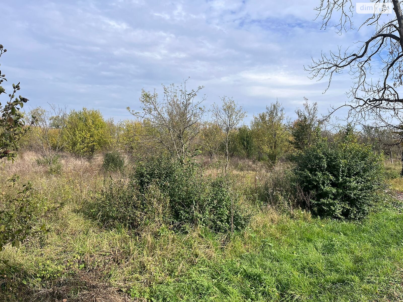 Аренда земли коммерческого назначения в Батьево, цена: 439 585 грн за объект фото 1 Аренда земли коммерческого назначения в Батьево, цена: 439 585 грн за объект фото 1