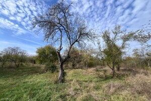 Аренда земли коммерческого назначения в Батьево, цена: 439 585 грн за объект фото 2 Аренда земли коммерческого назначения в Батьево, цена: 439 585 грн за объект фото 2