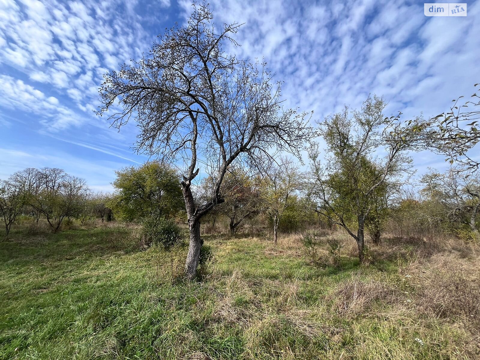 Аренда земли коммерческого назначения в Батьево, цена: 439 585 грн за объект фото 1 Аренда земли коммерческого назначения в Батьево, цена: 439 585 грн за объект фото 1