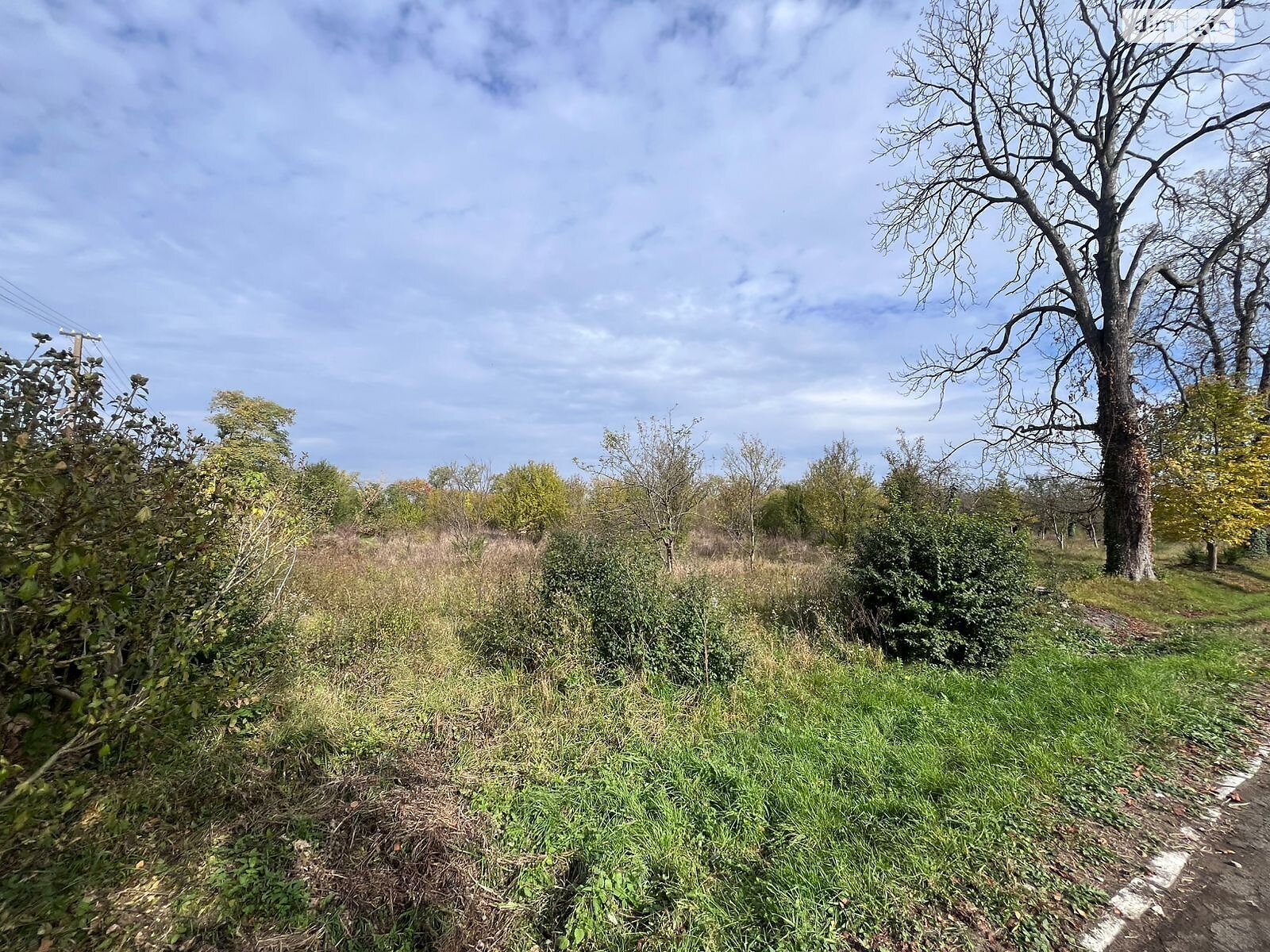 Аренда земли коммерческого назначения в Батьево, цена: 439 585 грн за объект фото 1 Аренда земли коммерческого назначения в Батьево, цена: 439 585 грн за объект фото 1