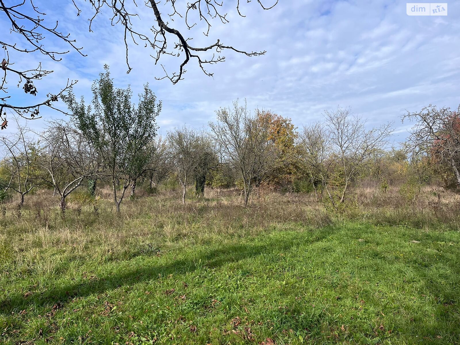 Аренда земли коммерческого назначения в Батьево, цена: 439 585 грн за объект фото 1 Аренда земли коммерческого назначения в Батьево, цена: 439 585 грн за объект фото 1
