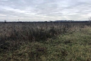 Аренда земли коммерческого назначения в Батятичах, цена: 37 642 грн за объект фото 1