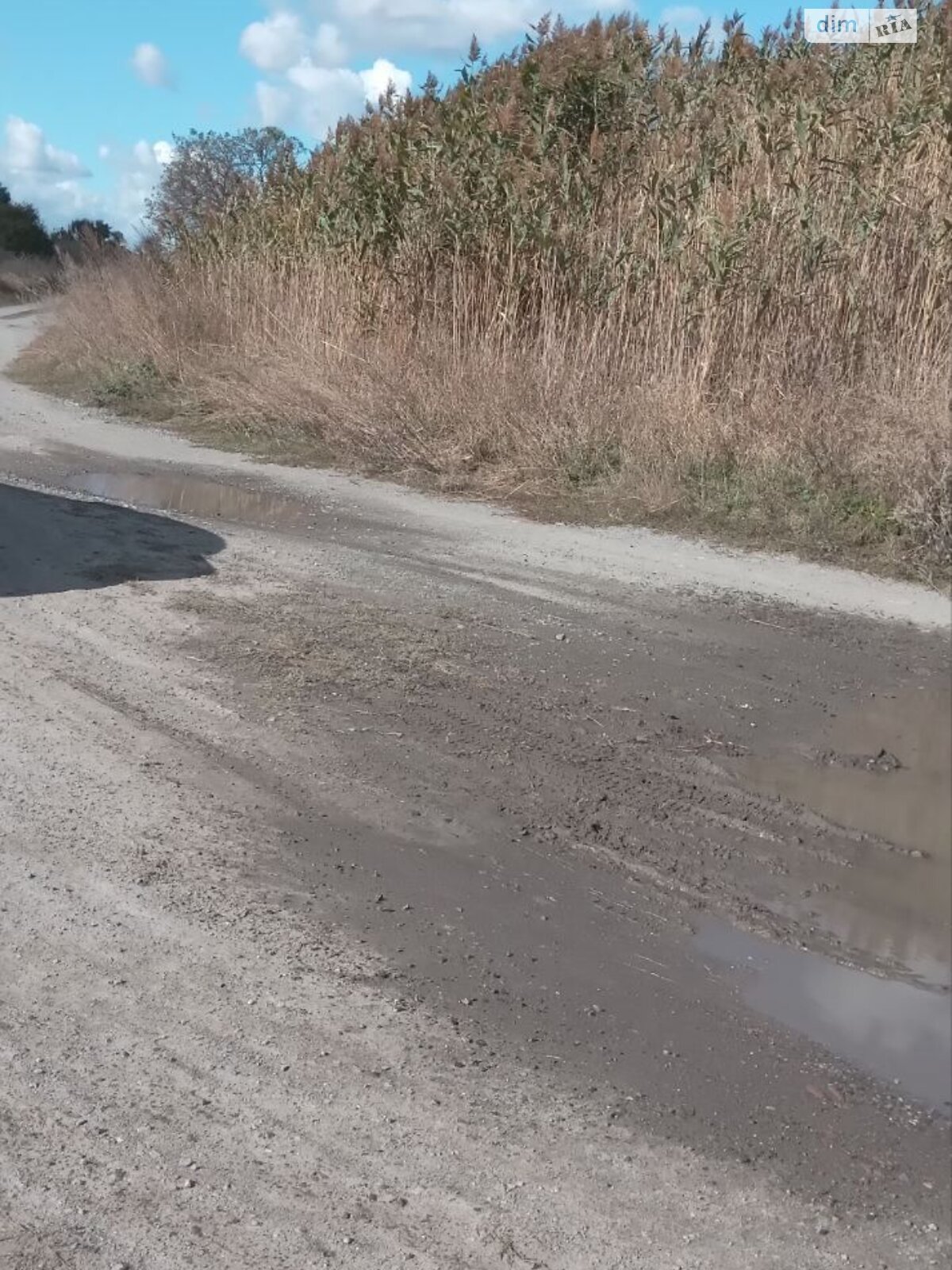 Оренда землі комерційного призначення в Білики, ціна: 2 420 933 грн за об’єкт фото 1