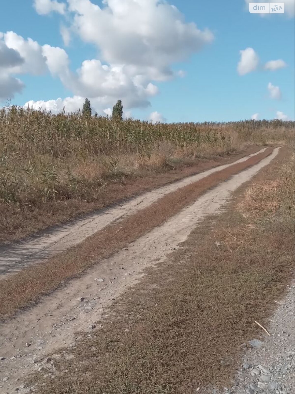 Оренда землі комерційного призначення в Білики, ціна: 2 420 933 грн за об’єкт фото 1