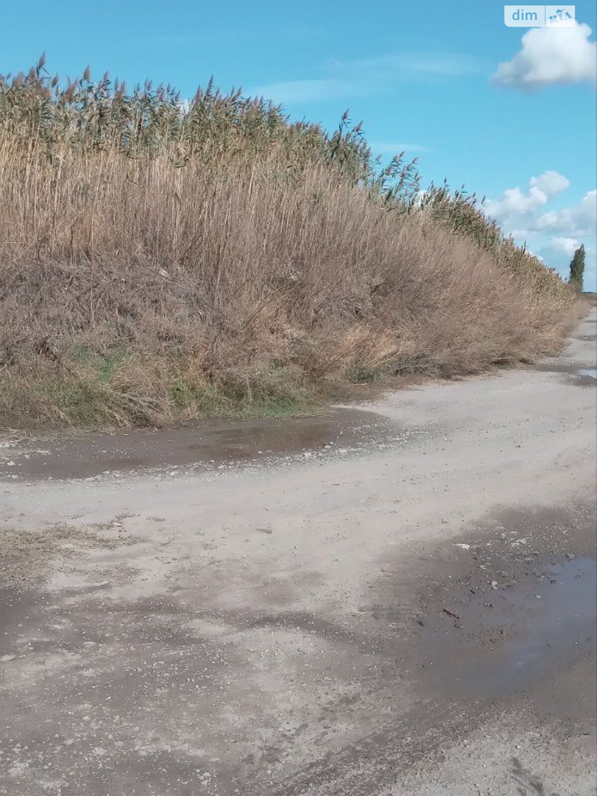 Оренда землі комерційного призначення в Білики, ціна: 2 420 933 грн за об’єкт фото 1