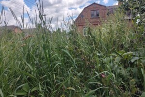 Оренда землі комерційного призначення в Бердичеві, ціна: 13 960 грн за об’єкт фото 1