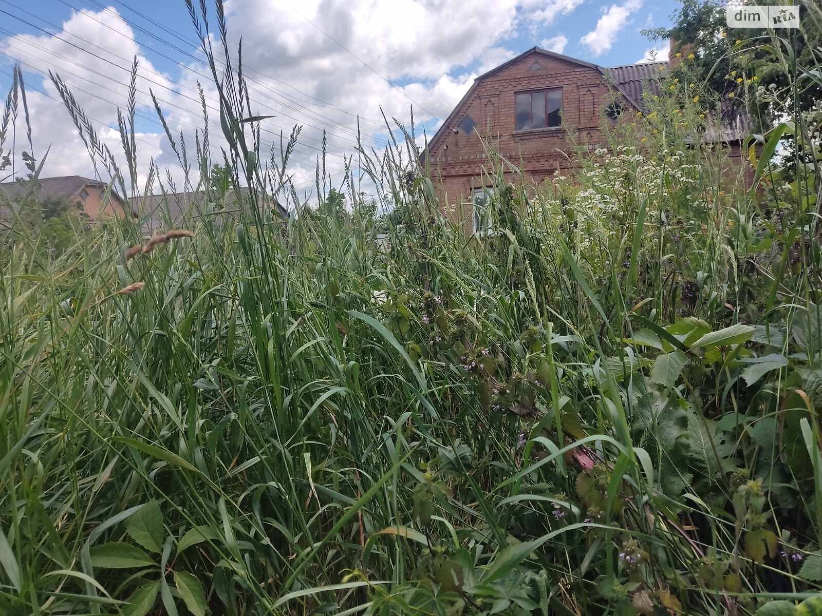 Оренда землі комерційного призначення в Бердичеві, ціна: 13 960 грн за об’єкт фото 1