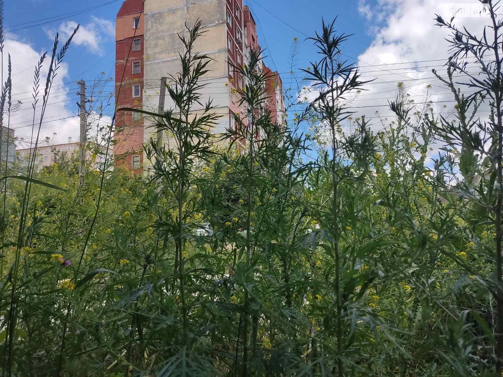 Оренда землі комерційного призначення в Бердичеві, ціна: 13 960 грн за об’єкт фото 1