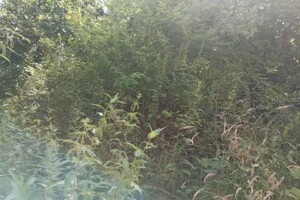 Аренда земли коммерческого назначения в Бориславе, цена: 56 845 грн за объект фото 2