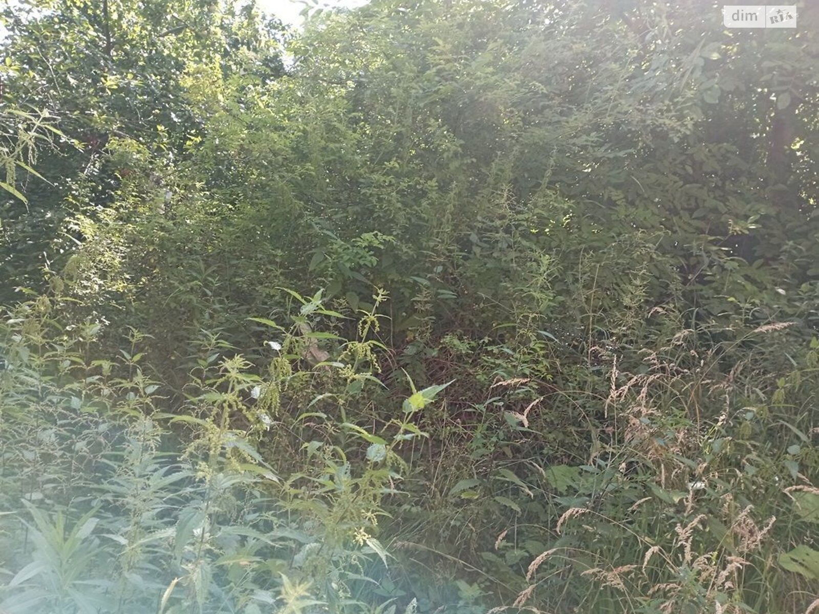 Аренда земли коммерческого назначения в Бориславе, цена: 56 845 грн за объект фото 1