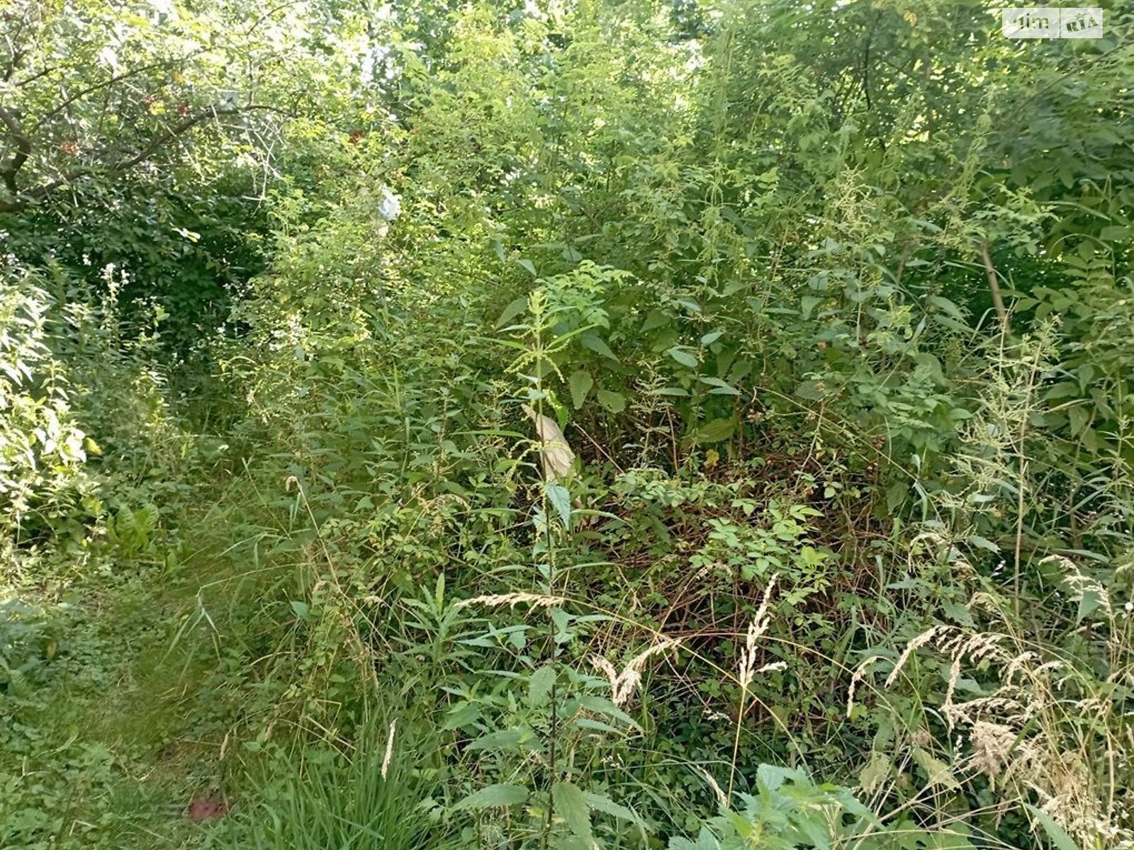 Аренда земли коммерческого назначения в Бориславе, цена: 56 845 грн за объект фото 1