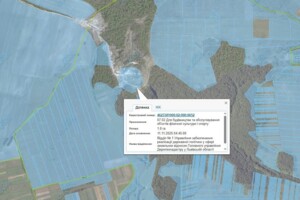 Оренда землі комерційного призначення в Борщеві, ціна: 25 220 грн за об’єкт фото 1