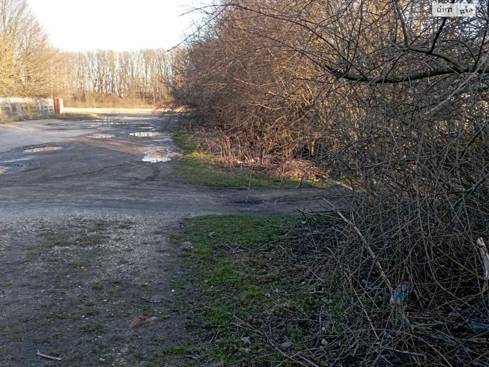 Оренда землі комерційного призначення в Бучалах, ціна: 42 889 грн за об’єкт фото 1 Оренда землі комерційного призначення в Бучалах, ціна: 42 889 грн за об’єкт фото 1