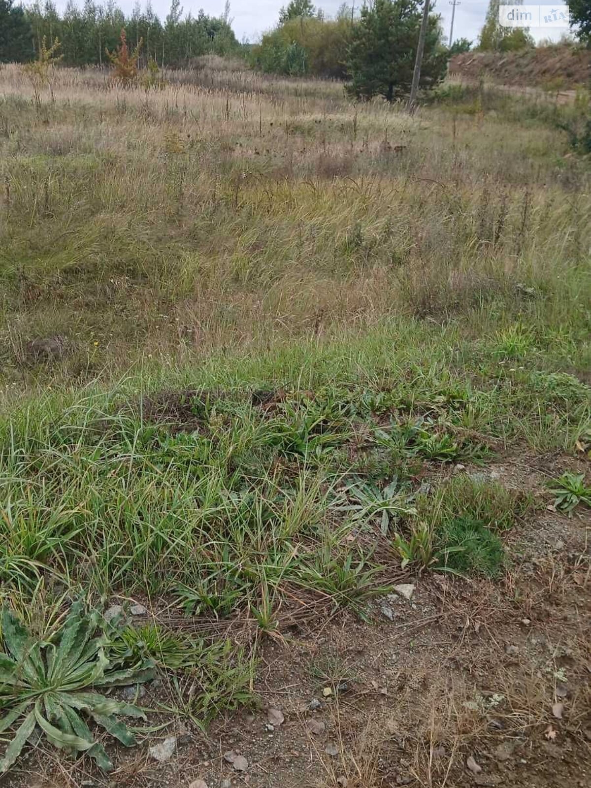 Оренда землі комерційного призначення в Добрині, ціна: 260 158 грн за об’єкт фото 1 Оренда землі комерційного призначення в Добрині, ціна: 260 158 грн за об’єкт фото 1