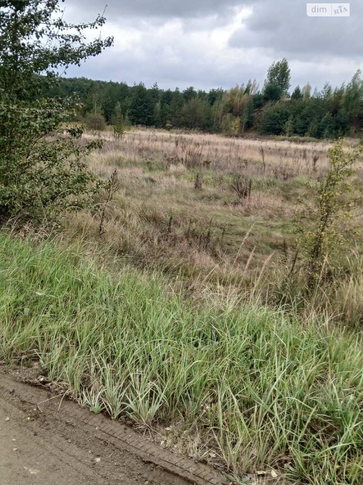 Оренда землі комерційного призначення в Добрині, ціна: 260 158 грн за об’єкт фото 1 Оренда землі комерційного призначення в Добрині, ціна: 260 158 грн за об’єкт фото 1