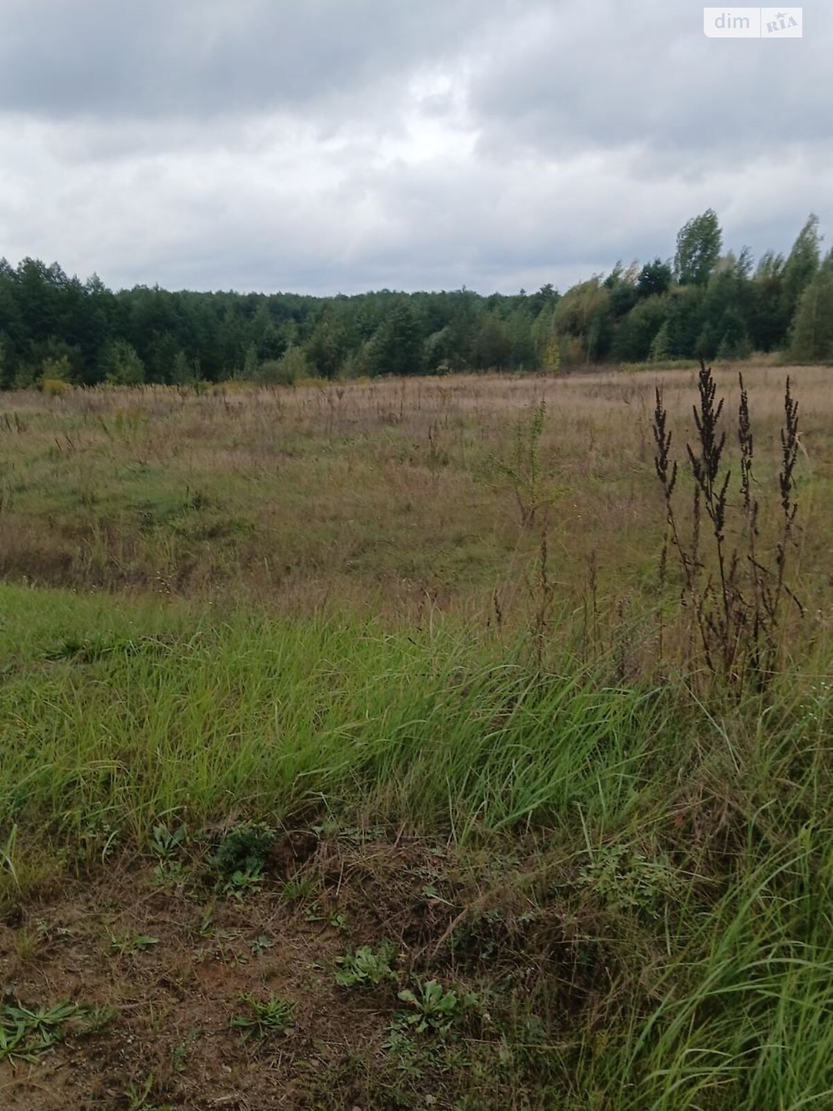 Оренда землі комерційного призначення в Добрині, ціна: 260 158 грн за об’єкт фото 1 Оренда землі комерційного призначення в Добрині, ціна: 260 158 грн за об’єкт фото 1