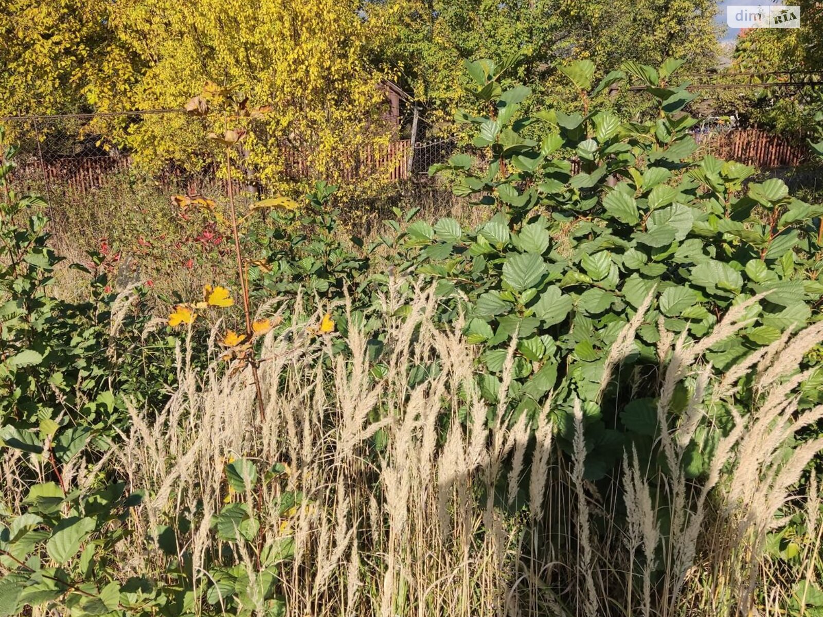 Оренда землі комерційного призначення в Долині, ціна: 5 214 грн за об’єкт фото 1