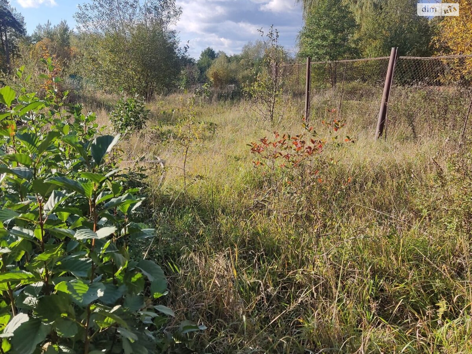 Оренда землі комерційного призначення в Долині, ціна: 5 214 грн за об’єкт фото 1