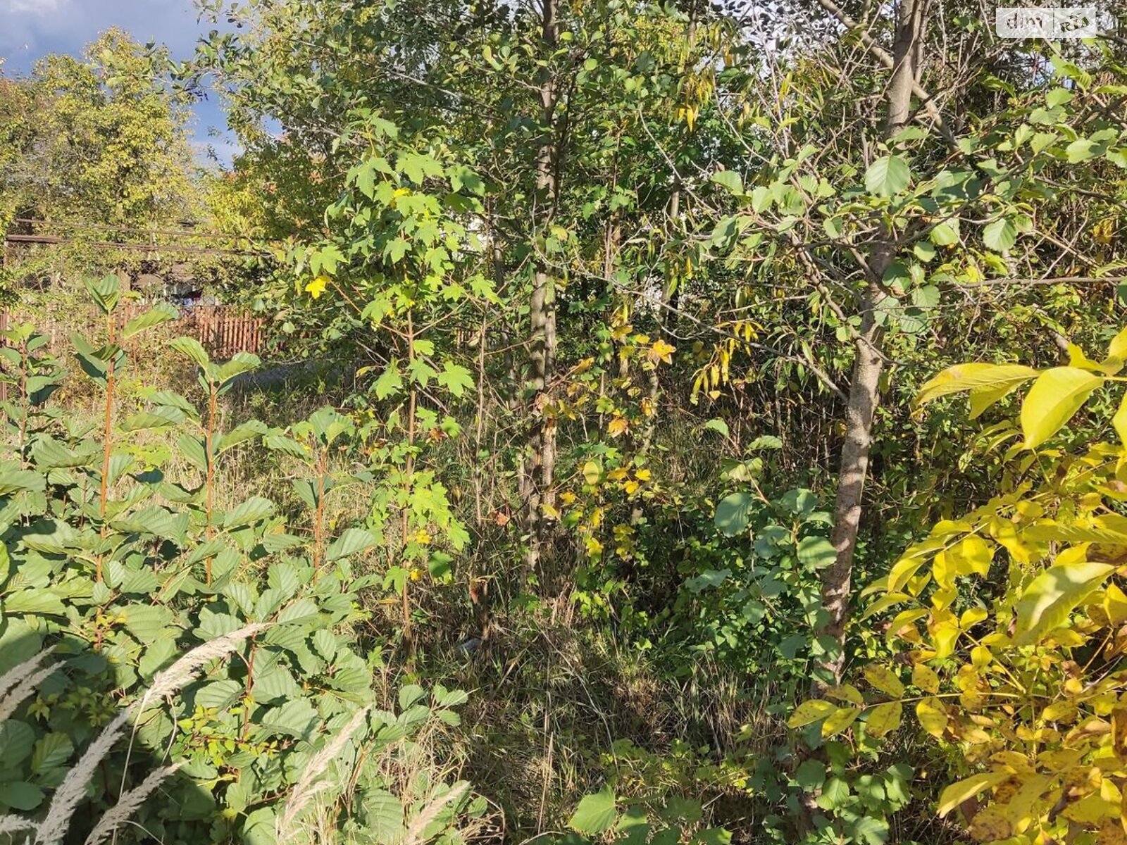 Оренда землі комерційного призначення в Долині, ціна: 5 214 грн за об’єкт фото 1